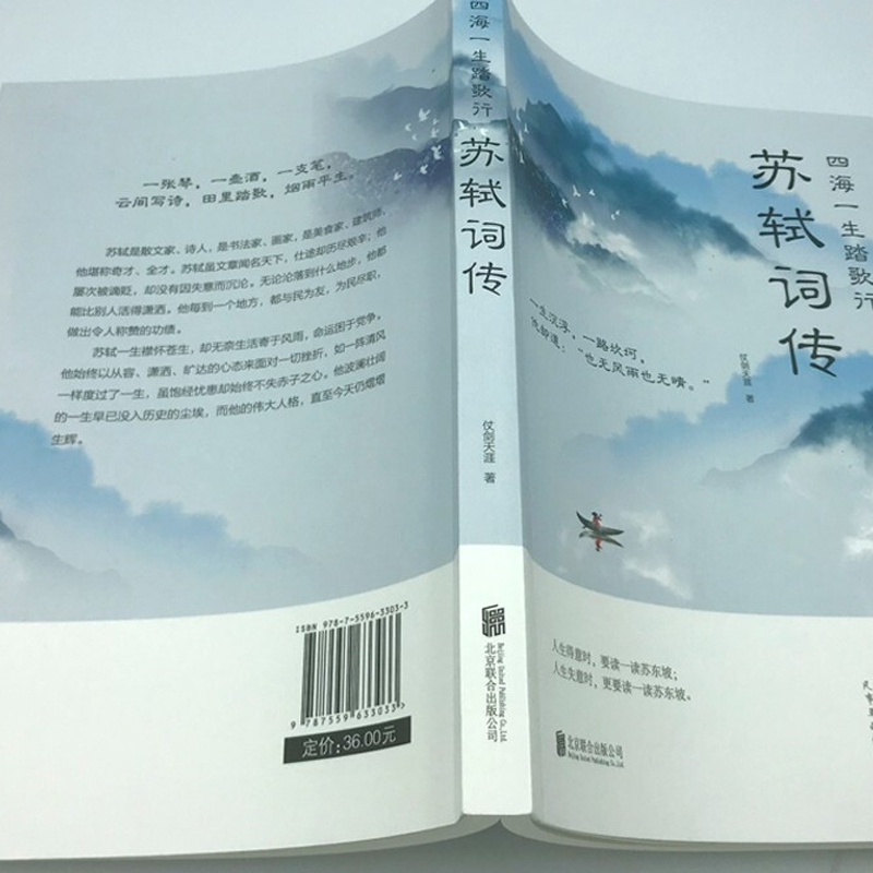 四海一生踏歌行:苏轼词传(32开平装)