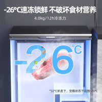 星星(XINGX)100升家用小型冷藏冷冻转换单温卧式冰柜厨房商用保鲜设备超市便利店冷柜节能微霜BD/BC-100KE