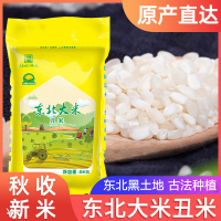 [2021秋收新米]绿农晓镇东北大米丑米5kg色选米食堂米家庭用米10斤粳米很丑但是很美味非真空包装