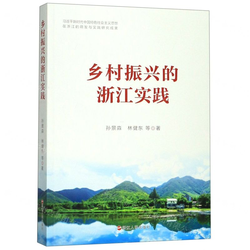 [N]乡村振兴的浙江实践-9787213094002高清大图
