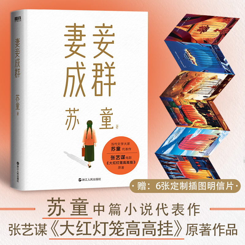 醉染图书妻妾成群9787213106743高清大图