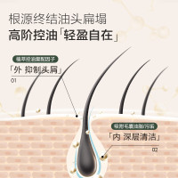 森之露 雪藻控油蓬松 洗发露 250ml 瓶