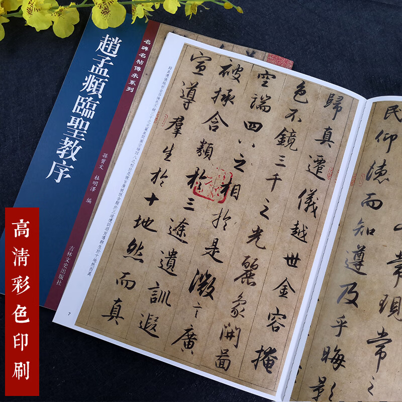 正版 赵孟俯圣教序碑帖字帖赵孟頫行书毛笔书法字帖赵孟頫临王羲之圣教序集字圣教序孙宝文编 吉林出版高清大图
