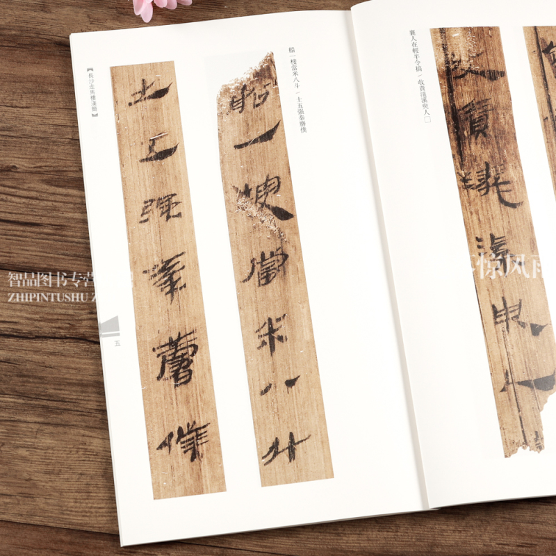 [正版]长沙走马楼汉简 中国古代简牍书法精粹 附注释竹简字帖临摹赏析汉简书法研究书法篆刻 艺术古代简牍书法 河南美术出