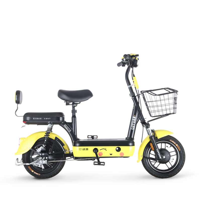 绿源luyuan绿源电动车电瓶车fba小青果皮卡丘1智能快充铅酸电池