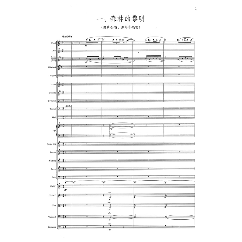 正版 金湖大合唱:总谱 张敦智词曲 上海音乐出版社 978755231293高清大图