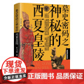 墓史密码之神秘的西夏皇神