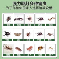 烟甲虫谷3886