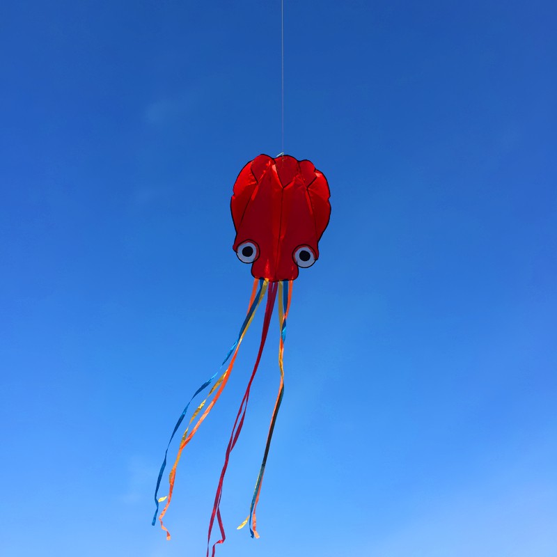 潍坊软体风筝章鱼成人儿童大型2020新款风筝线轮立体微风易飞金鱼创意 三维工匠 5.5米红章鱼+100米线板高清大图