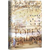 米开朗琪罗与教皇的天花板 (英)罗斯·金(Ross King) 著;黄中宪 译 艺术 文轩网