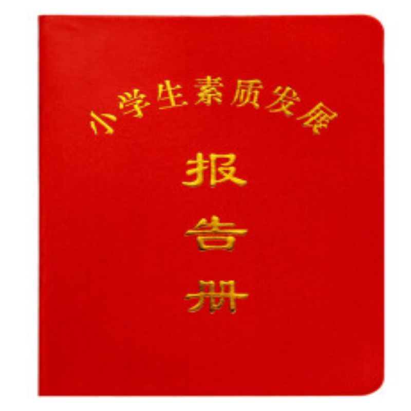 小学生素质报告册 10本装