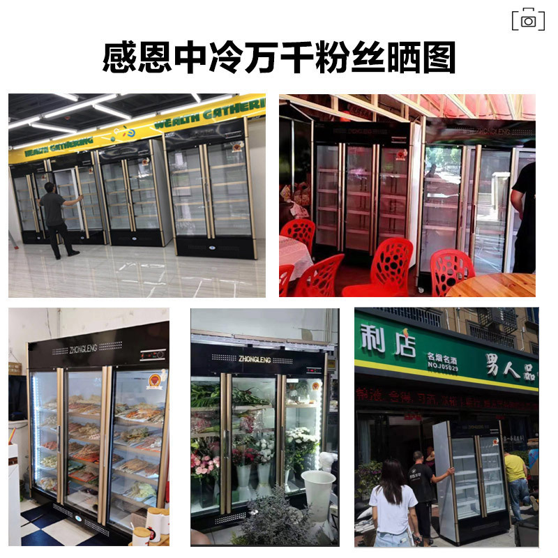 五洲伯乐(WUZHOUBOLE)LC-888A 842升商用展示柜 立式冷藏柜保鲜柜 对开门冰箱 啤酒饮料柜茶叶柜点菜柜