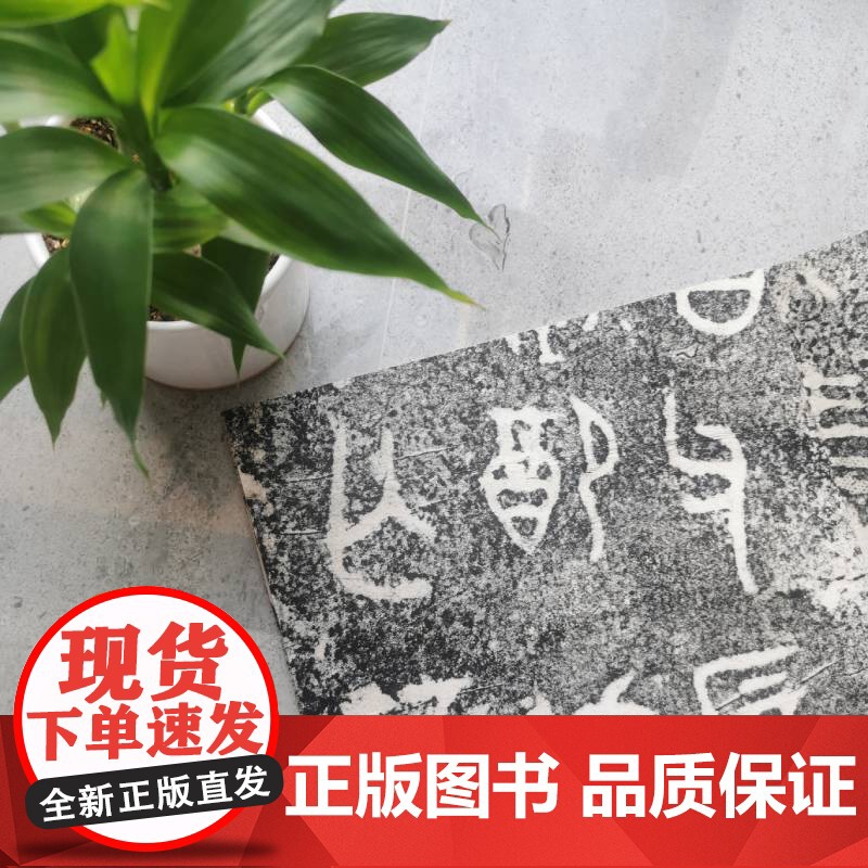 书法经典放大·铭刻系列:书法经典放大·铭刻系列---毛公鼎高清大图