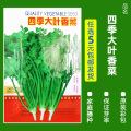 买3发6包四季蔬菜种子青菜香菜白菜生菜小葱黄瓜阳台盆栽香瓜冰糖 均码 B24-四季大叶香菜约6克
