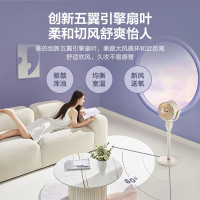 美的(Midea)空气循环扇家用电风扇3D摇头落地扇轻音节能宿舍小风扇台地两用节能风扇 米橘色GAF24DR