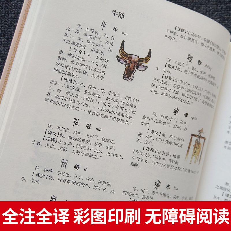 说文解字图解详析 [正版]国学典藏馆 说文解字图解详析 许慎 彩图珍藏版 中国文化语言工具书语言文字 国学经典书籍教科书高清大图