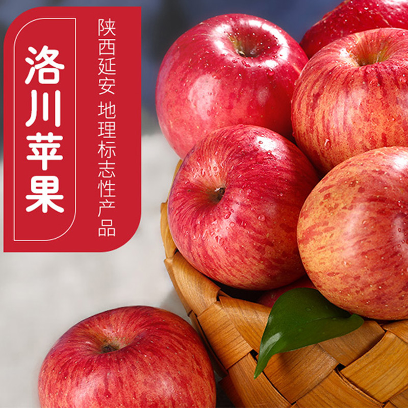 [五个农民]22年新果 正宗陕西洛川苹果红富士9枚装 单果85mm+/250g+ 超大果当季新鲜水果 顺丰速运高清大图