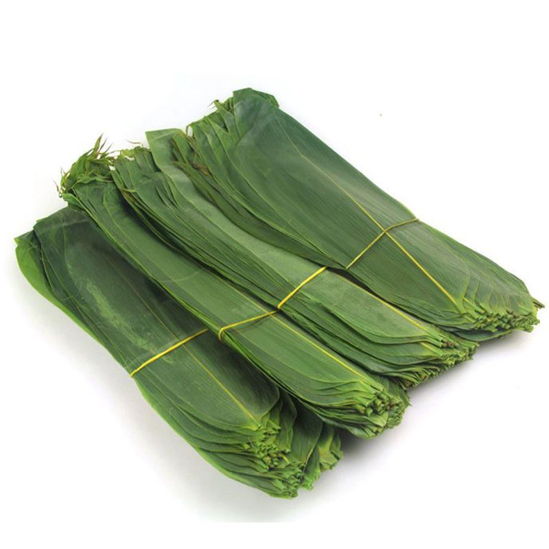 粽子叶湿粽叶新鲜大粽叶棕叶真空包装非芦苇叶干大粽叶