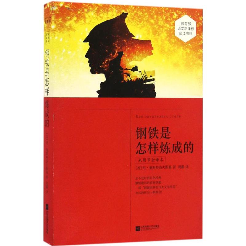 醉染图书钢铁是怎样炼成的9787539998329