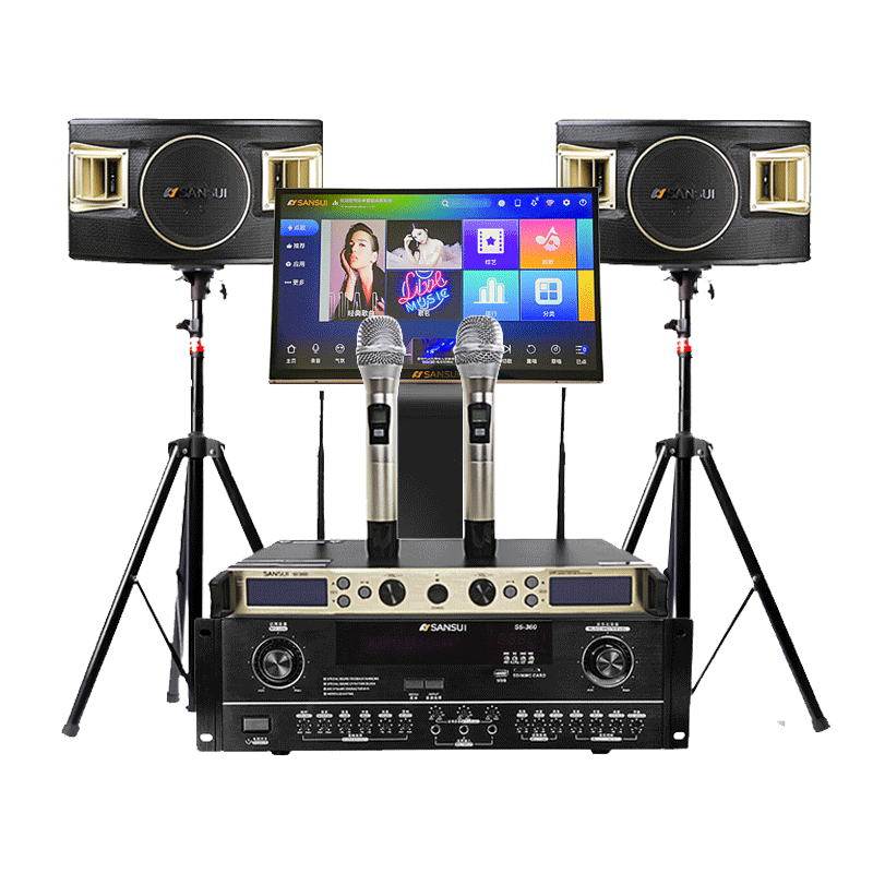 LR主扩扬声器