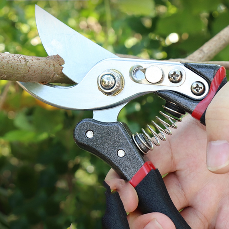 藤印象修剪果树剪刀强力果枝剪粗枝剪农用树枝剪园林艺剪s1320参数