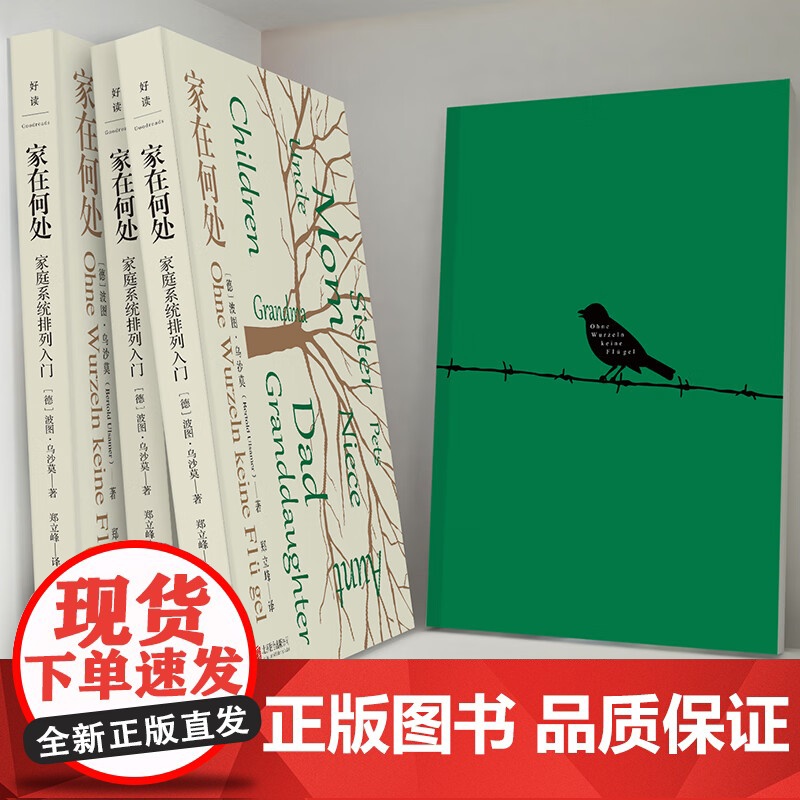 家在何处 家庭系统排列入门 波图·乌沙莫 著 心理学高清大图