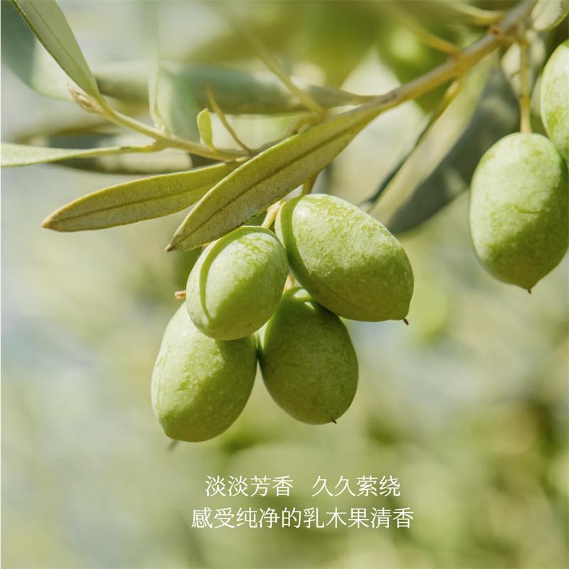 半亩花田乳木果身体磨砂膏 250g高清大图