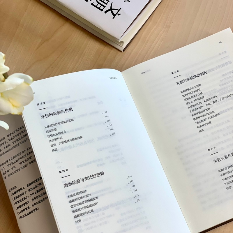 醉染图书文明的逻辑 人类与风险的博弈(全2册)9787521739800高清大图