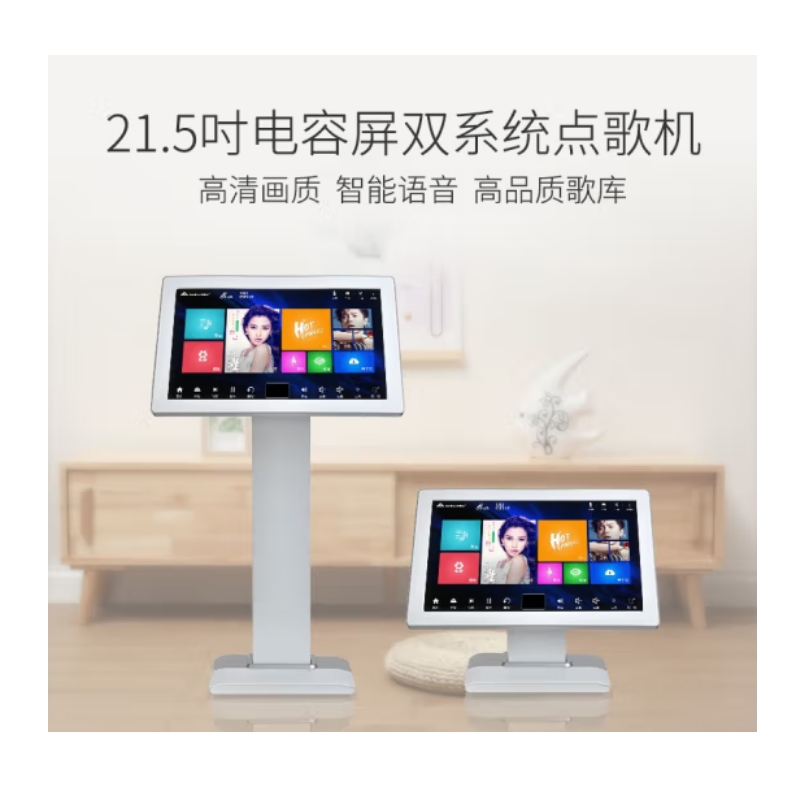 奔腾(BNTN)家庭影院ktv音响套装家用点歌机一体机卡拉ok组合K歌设备 双系统K歌会议音响BTKT10点歌机套装
