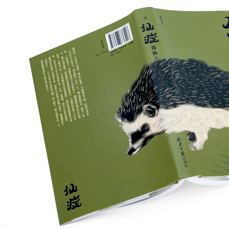 [正版] 《仙症》 郑执 生吞作者 刺猬 电影原著小说改编 鲤·匿名作家计划奖中国现当代文学作品小说集书籍魔幻故事侦探高清大图