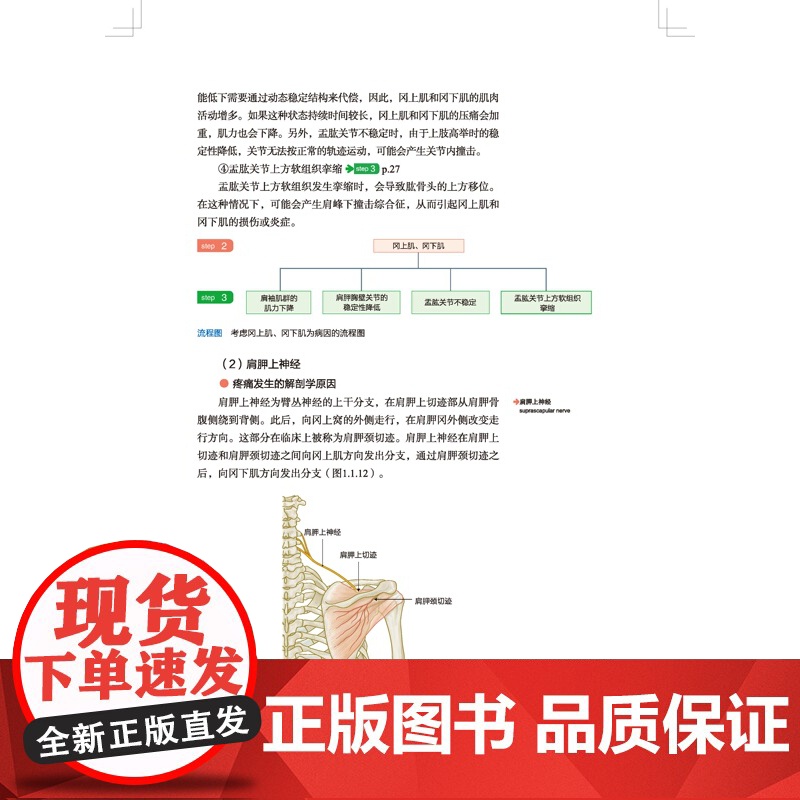 运动功能障碍 原因及评估技巧 康复 运动功能 评估 肌骨 疼痛 北京科学技术高清大图