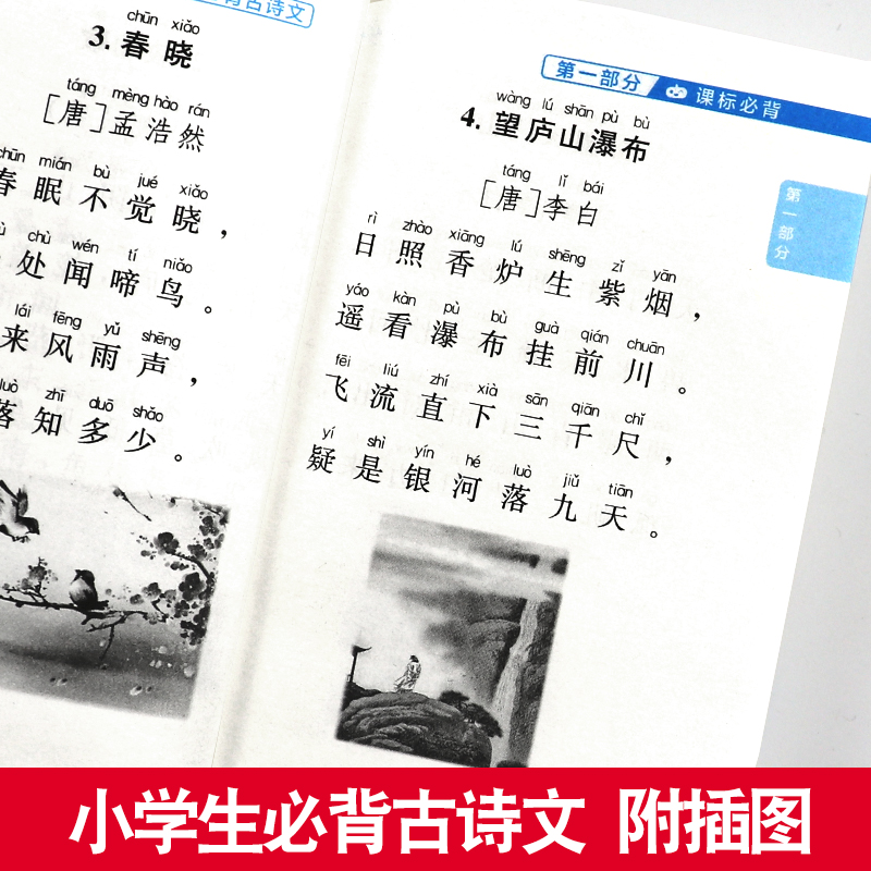 [语文]常用文学常识 小学通用 [正版]新版小红书小学全套语文数学英语科学基础知识大全手册数学公式定律英语单词精华口袋书高清大图