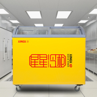 星星(XINGX)SCD-242YE 商用卧式冷柜 玻璃门圆弧柜 展示柜 雪糕冷饮柜 饮料啤酒冰淇淋冷冻保鲜冷藏双温冰柜