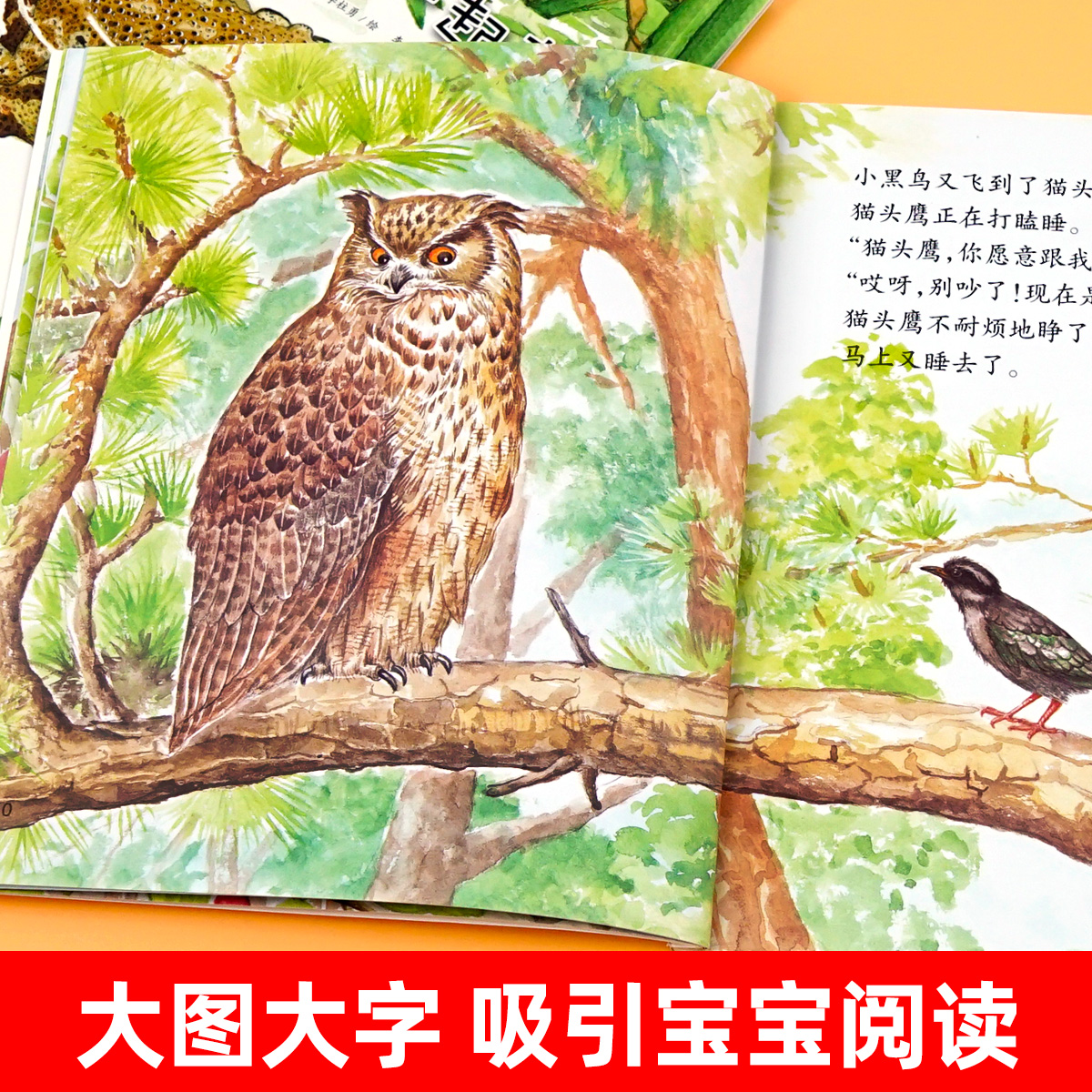 我的影子跟屁虫 [正版]我的影子跟屁虫 幼儿园绘本书阅读3-4-6岁 儿童科普读物科学启蒙睡前故事书 老师三到四五岁宝宝高清大图