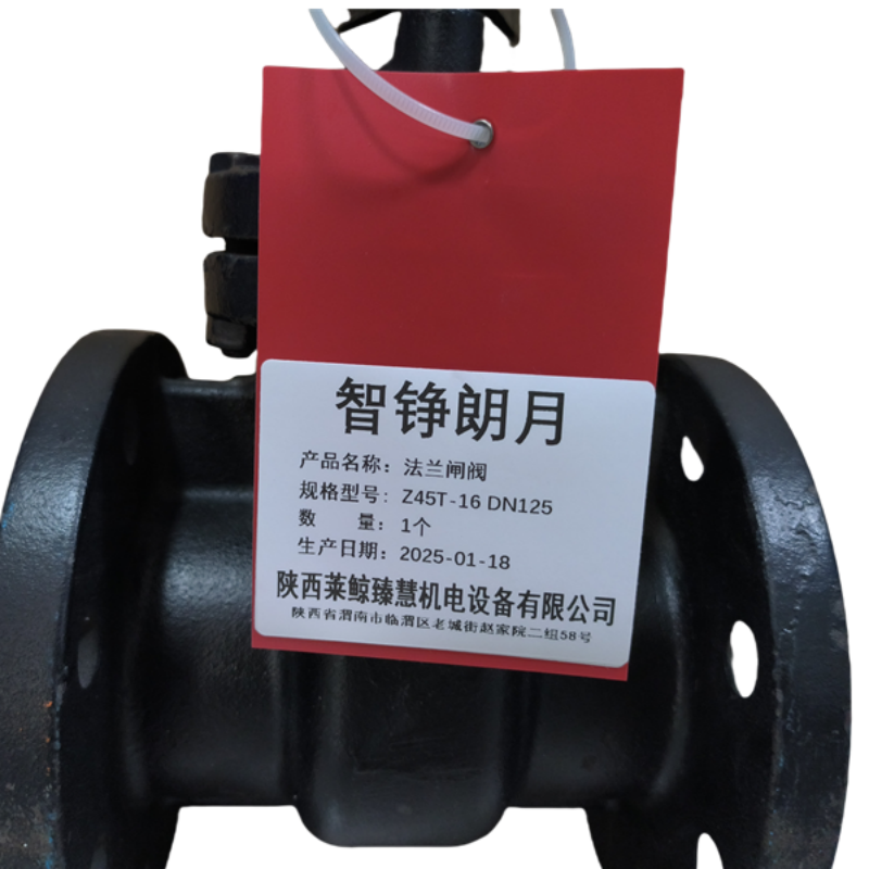智铮朗月 法兰闸阀 Z45T-16 DN125 个高清大图