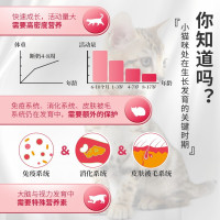 喜跃幼猫鸡肉鱼肉牛奶和菠菜味10kg幼猫粮怀孕及哺乳期母猫粮