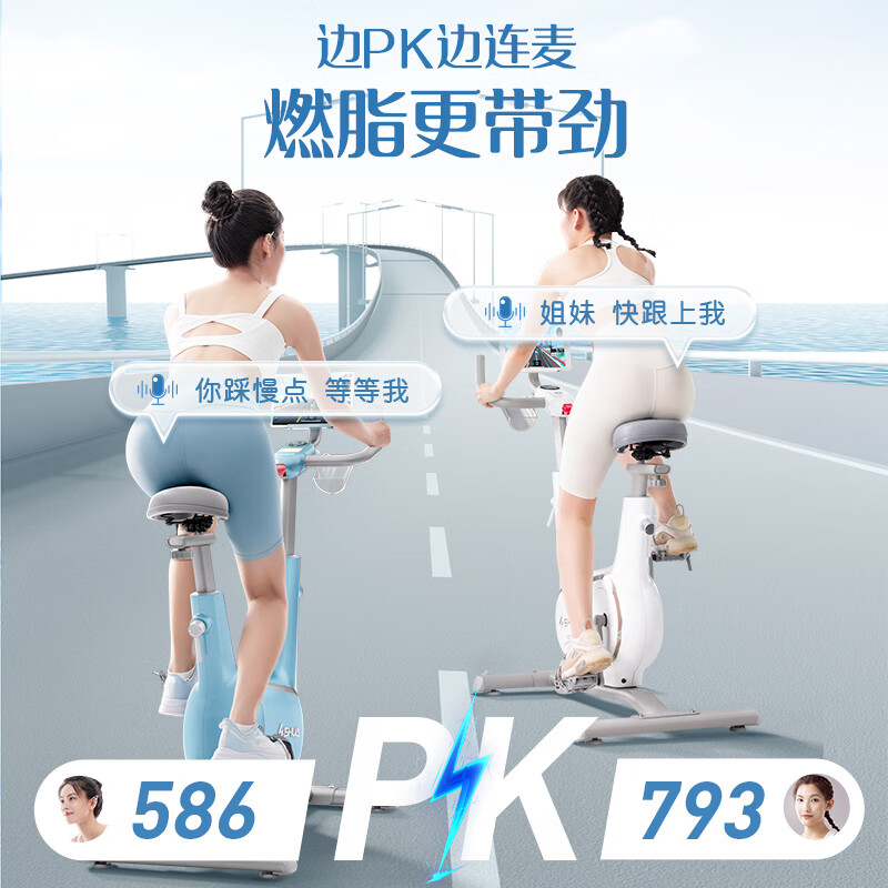 舒华(SHUA)精灵动感单车家用智能调阻运动健身器材室内单车脚踏自行车B369高清大图