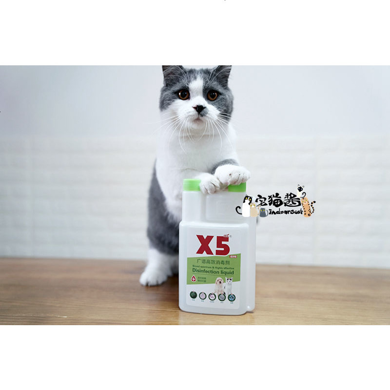 宅猫酱 X5高效消毒剂500ml 宠物狗窝猫舍消毒液