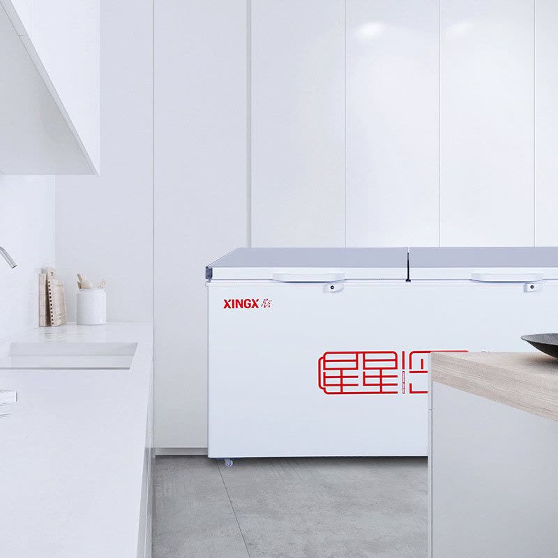 星星(XINGX) 518升商用大冷柜 大冷冻力冰柜 断电保护 冷藏冷冻转换柜 BD/BC-528GE图片
