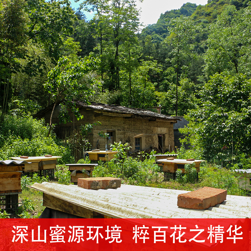 [中华特色]山阳馆 三棵老槐 农家土蜂蜜500g 百花蜜