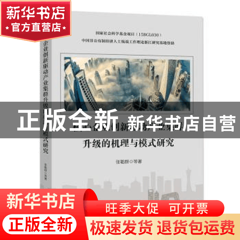 正版 核心企业创新驱动产业集群升级的机理与模式研究 张聪群 中图片