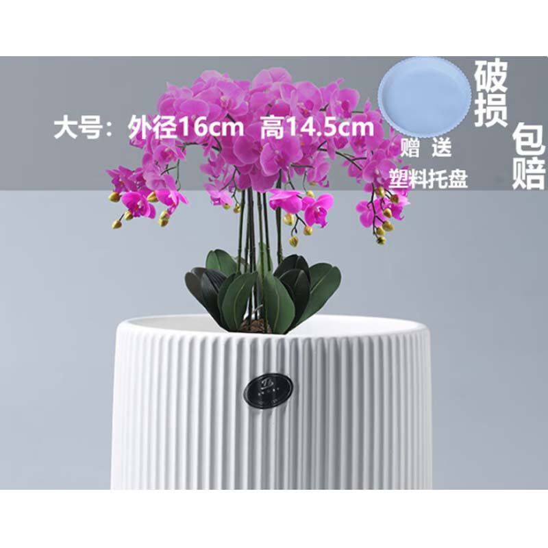 陶瓷花盆 "大号雅典古瓷白 配托 外径16cm 高14.5cm"