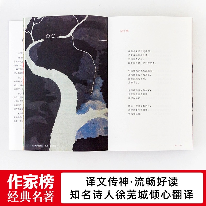 [正版]恶之花(全新彩插珍藏纪念版!收录161首经典诗作!新增81幅名画!人生不如波德莱尔一行诗!诗人徐芜城历时十年倾高清大图