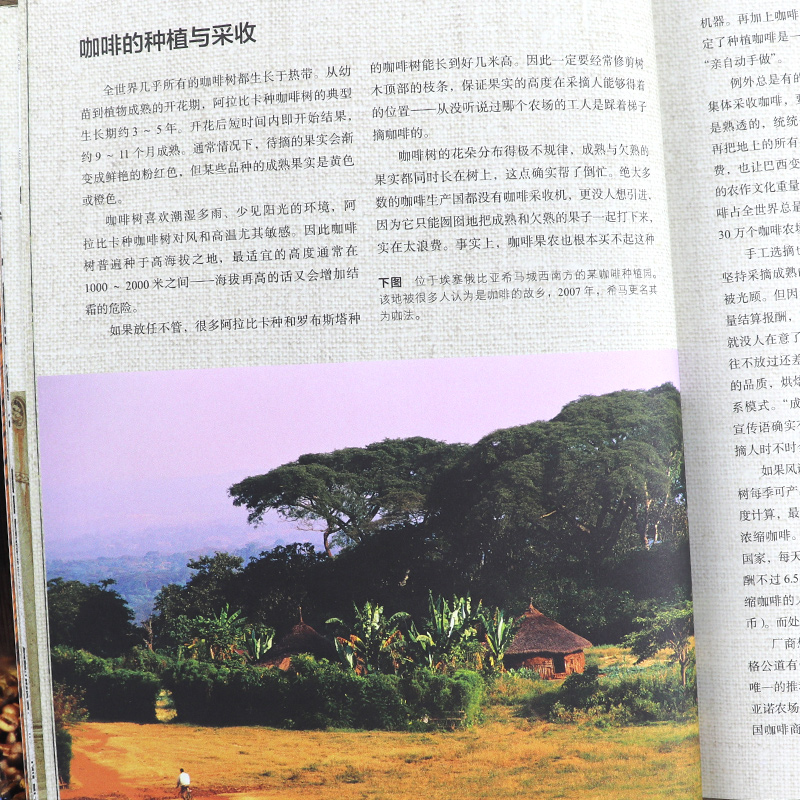 [正版] 咖啡指南咖啡世界名店手冲制作图典地图别说你不懂我的生活提案瘾史咖啡学品鉴大全入门教你如何泡鉴赏百科做拉花教程高清大图