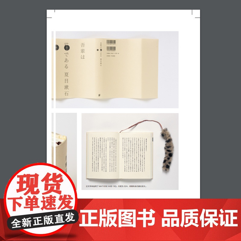 装订道场:28位设计师的《我是猫》 [日]Graphic社编辑部著 何金凤 译 另著《小阳台变身梦想花园》高清大图