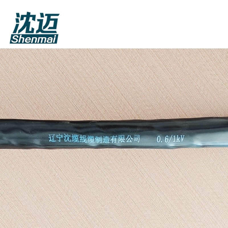 沈迈 低烟无卤阻燃耐火电缆 WDZN-YJY-0.6/1kV-3*25+1*16平方 1米高清大图