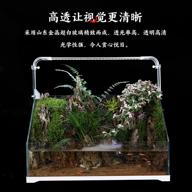 金晶水陆缸水陆鱼缸 植物造景缸 微景观斜口缸 乌龟缸超白缸高清大图