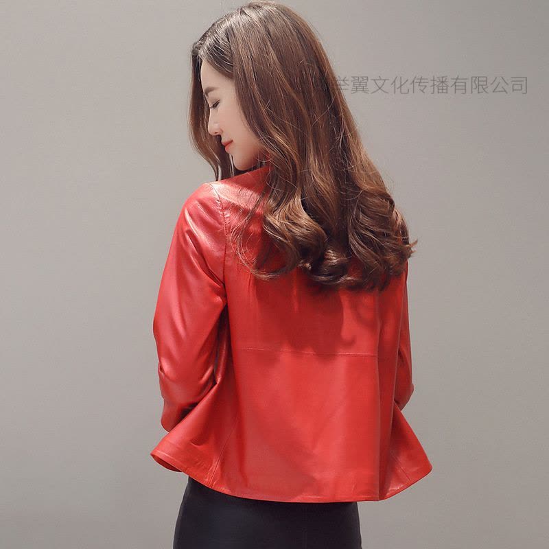 举翼王子真皮短款皮衣外套女海宁皮衣绵羊皮羊皮皮衣图片