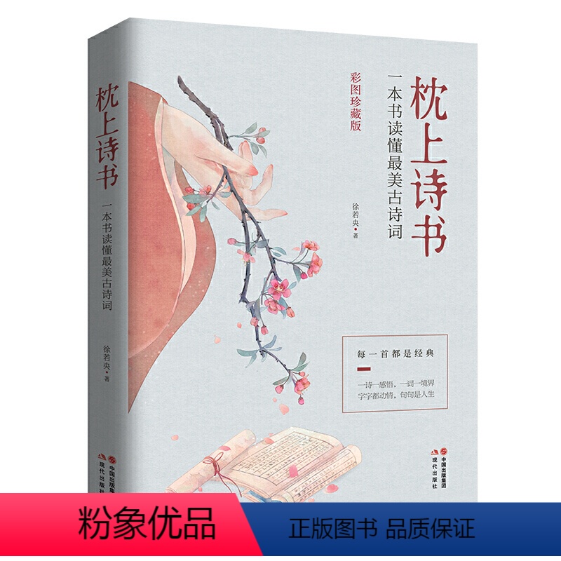 [正版]抖音同款彩图珍藏版 枕上诗书一本书读懂zui美古诗词 中国古诗词诗词大会诗经精选徐若央著 李清照苏轼一诗一故事高清大图
