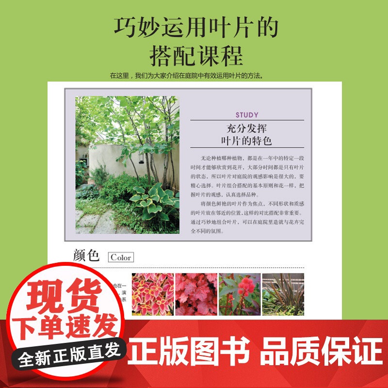 出版社 绿手指园艺图书《彩叶植物图鉴》(日) 荻原范雄主编; 药草花园 陆蓓雯译 500种彩叶植物的应用与搭配高清大图